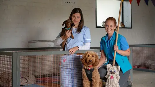 Casting Waffle, le chien waouh S02E12 Allô docteur !