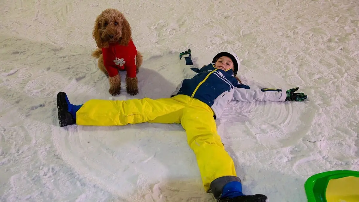 Waffle, le chien waouh S02E21 Waffle tout schuss !