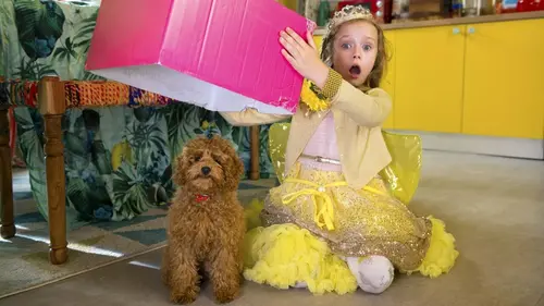 Waffle, le chien waouh S01E01 L'invité surprise
