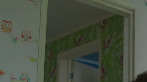 Waffle, le chien waouh S01E06 Waffle et la peinture verte