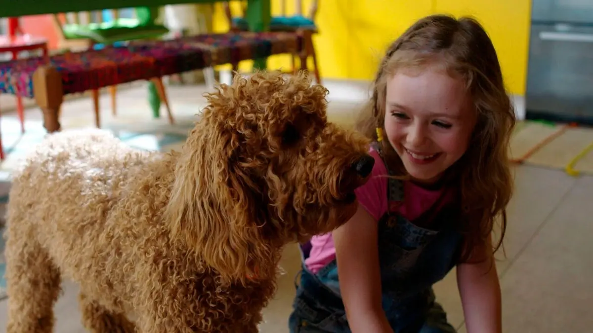 Waffle, le chien waouh S01E13 Deux nouveaux amis pour Waffle