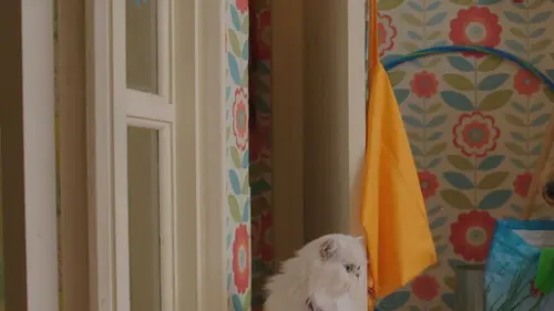 Waffle, le chien waouh S01E17 Waffle est malade