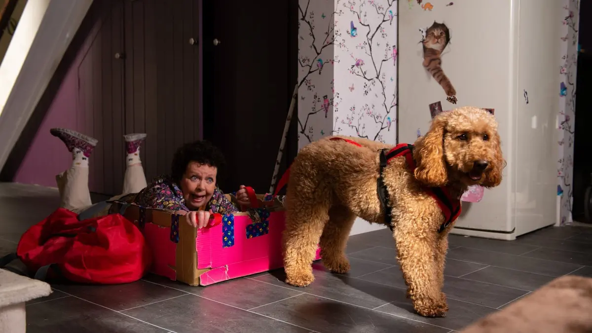 Waffle, le chien waouh S02E03 Waffle chez madame Hobson