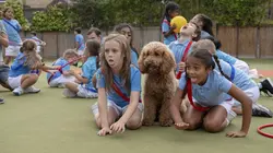 Waffle, le chien waouh S02E09 Avec Waffle, c'est sportif !