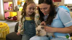 Waffle, le chien waouh S01E17 Waffle est malade