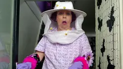 Waffle, le chien waouh S01E28 Le secret de madame Hobson
