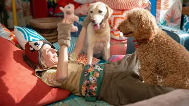 Waffle, le chien waouh S02E07 Un temps calme pour Waffle