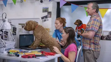 Waffle, le chien waouh S02E13 Waffle rend service