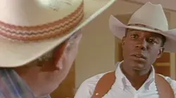 Walker, Texas Ranger S03E02 Les voleurs de bétail en streaming