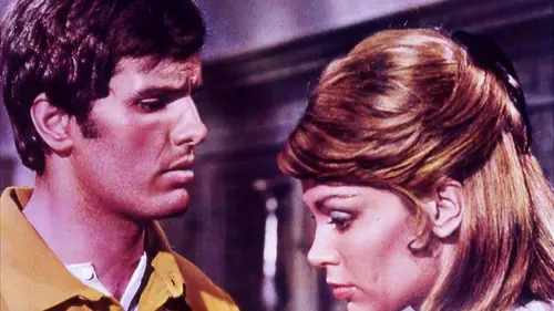 Wanted, le recherché