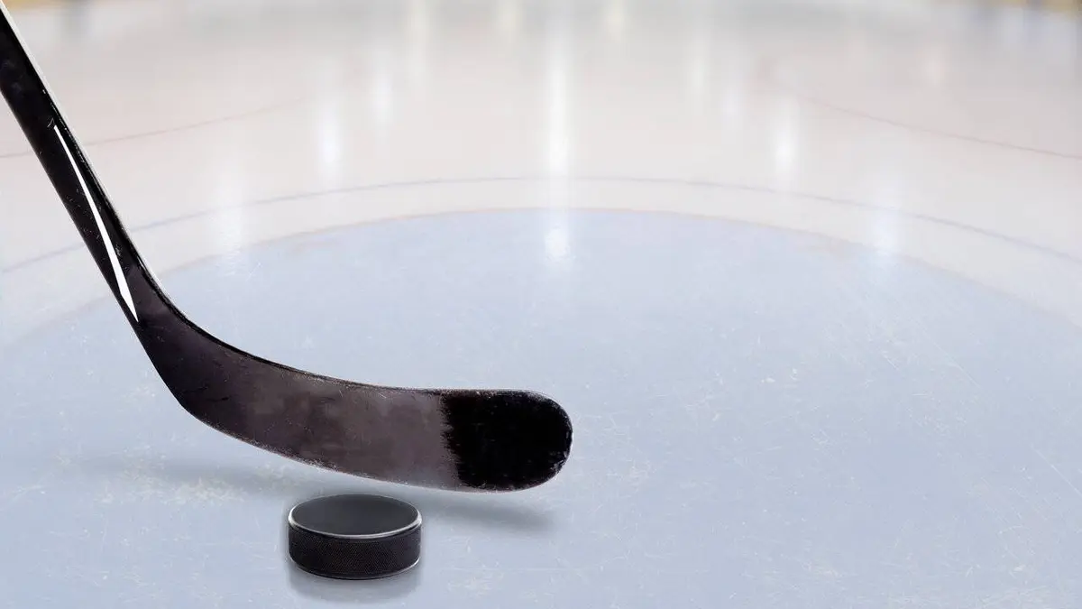 Washington Capitals / Anaheim Ducks Hockey sur glace NHL 2021/2022