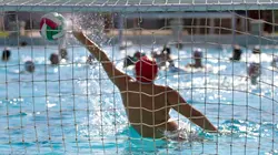 Water-polo Elite Championnat