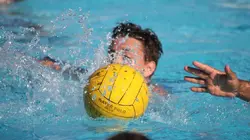 Water-polo Ligue des champions