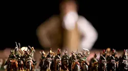 Waterloo, l'ultime bataille