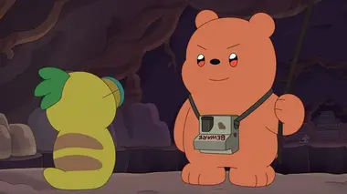 Le Cours de photographie