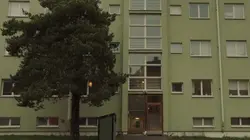 We Got This : détectives malgré eux S01E01 Le jeu du chat et du complot