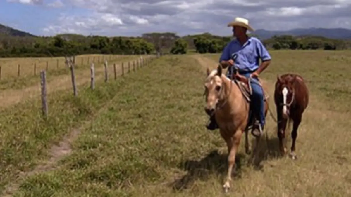 Western dans le Pacifique Sud