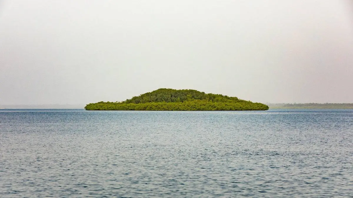 Wetlands, l'héritage de Luc Hoffmann