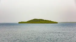 Wetlands, l'héritage de Luc Hoffmann