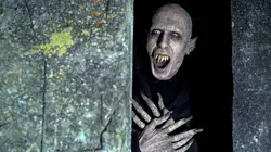 What We Do in the Shadows