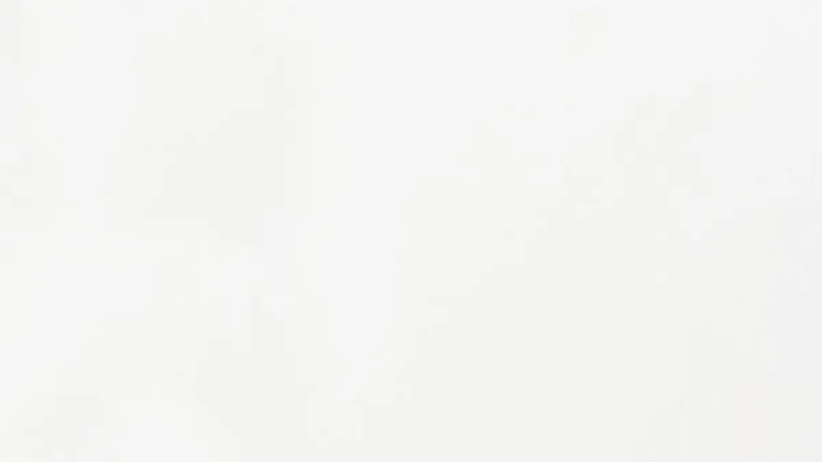 Visuel de Wheeler Dealers France Simca Vedette Chambord