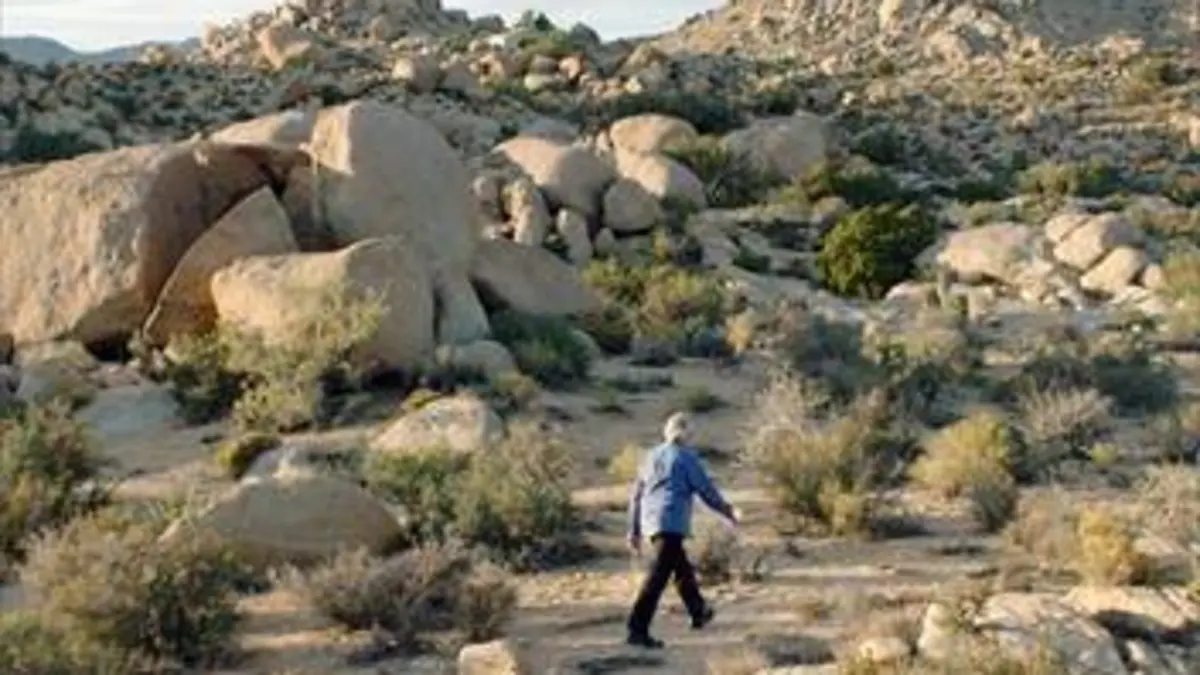 Where is «Rocky II»?