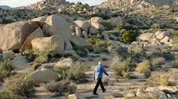 Visuel de Where is «Rocky II»?
