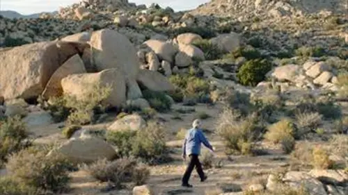 Where is «Rocky II»?