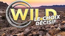 Sur M6 à 23h10 : Wild, le choix décisif