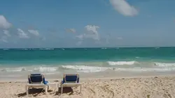 Wild Menu E08 Pique-nique sur la plage