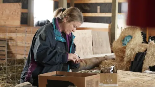 Wild : retour à la vie sauvage S01E06 La tension monte