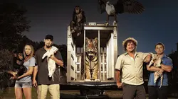 Wild Transport S01E04 Zedonk-ulous !