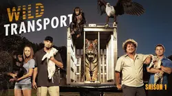 Wild Transport S01E04 Zedonk-ulous !