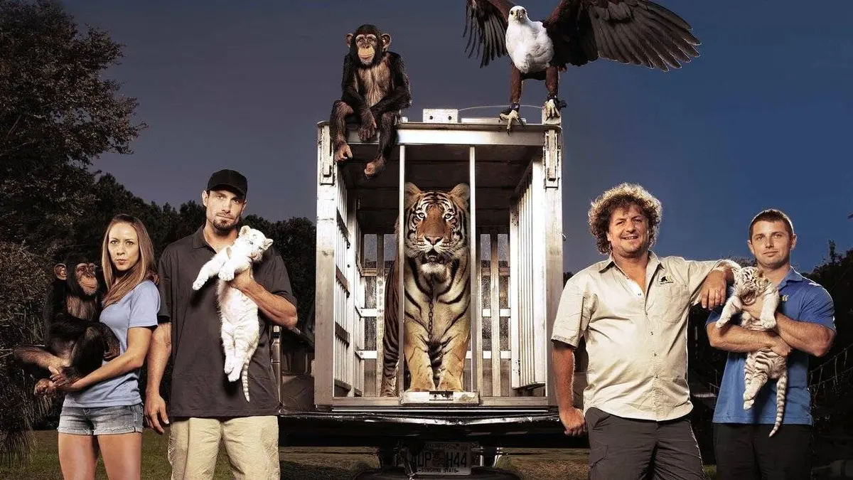 Audiences TV : Wild Transport