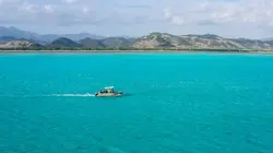 Wildlive Expeditions Nouvelle-Calédonie