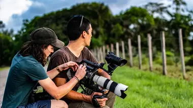Wildlive Expeditions Guyane