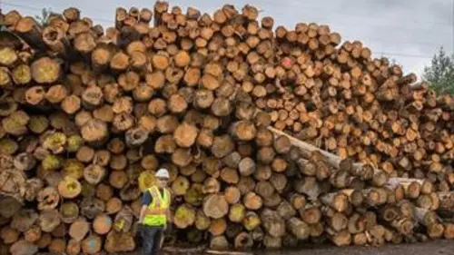 Wildwoods S01E04 De jour comme de nuit