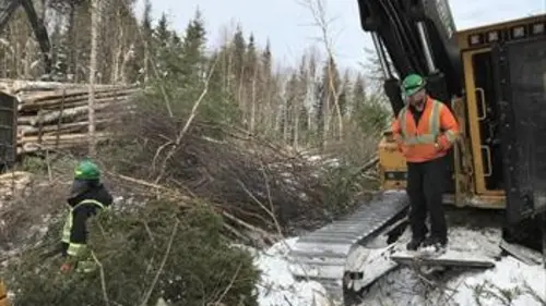 Wildwoods S01E05 Une forêt à protéger