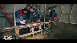 Willy vient déjeuner chez vous