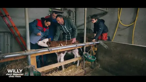 Épisodes de Willy vient déjeuner chez vous