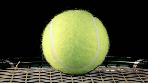 Wimbledon Tennis Grand Chelem 2021