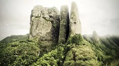 Wingsuit : vol à haut risque