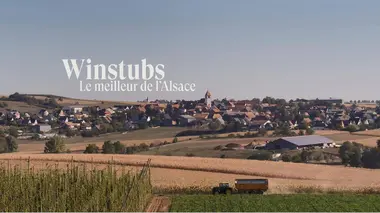 Winstubs, le meilleur de l'Alsace