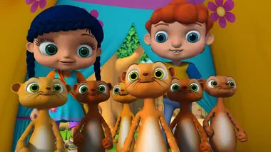 Le suricate se gratte