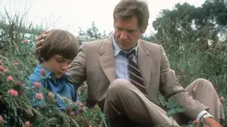 Witness : témoin sous surveillance