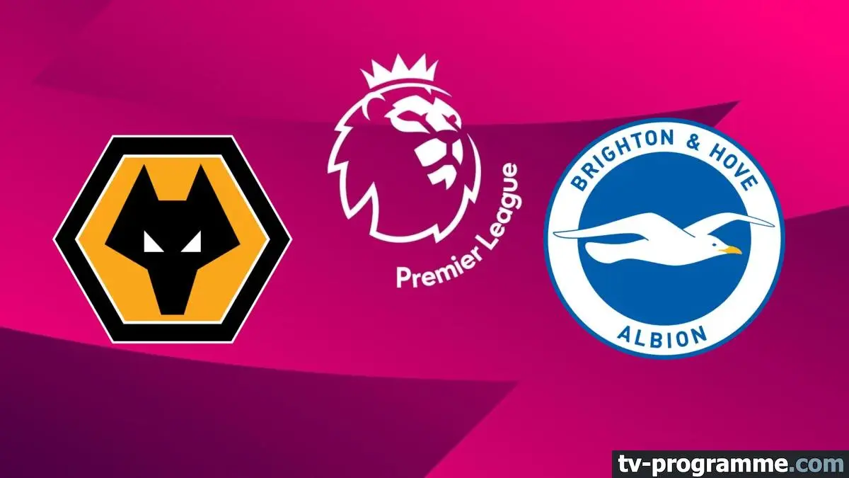 Wolverhampton / Brighton & Hove Albion Football Premier League 2024-2025
