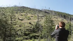 Wood - Les traqueurs de bois volé