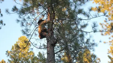 Quitter la civilisation