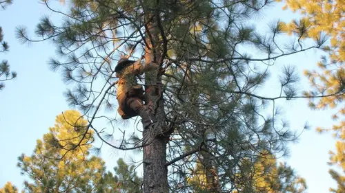 Woodsmen S01E01 Quitter la civilisation