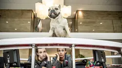 WorkinGirls S03E04 Tolérance zéro